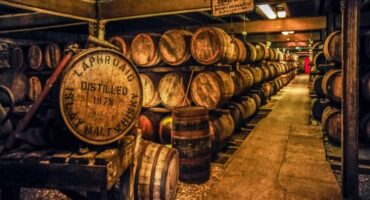 Whisky von Whisky Chamber, Springbank und Macallan bei Scotch Sense